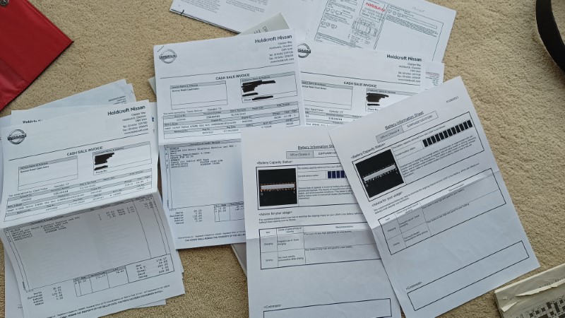 Leaf Tekna 2020 Service Records (3)